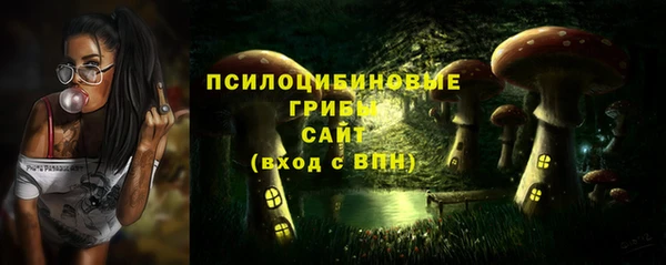 прущие грибы Новодвинск