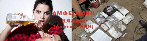 прущие грибы Новодвинск