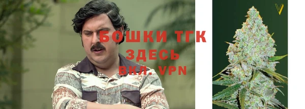 дурь Новозыбков