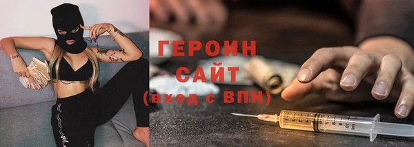 прущие грибы Новодвинск