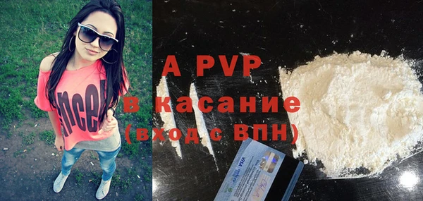 прущие грибы Новодвинск