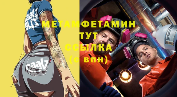 прущие грибы Новодвинск