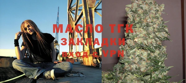 прущие грибы Новодвинск