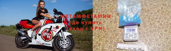 прущие грибы Новодвинск