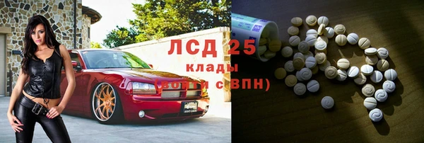 прущие грибы Новодвинск