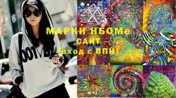 прущие грибы Новодвинск