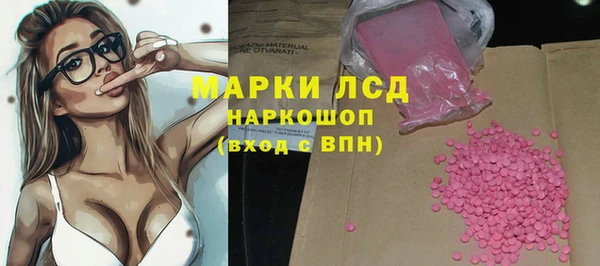 прущие грибы Новодвинск