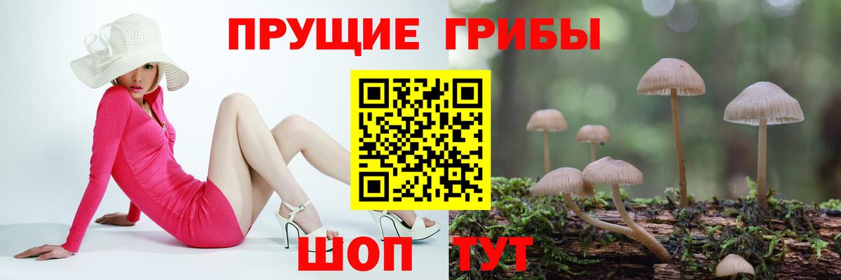 Лабинск  Псилоцибиновые грибы Psilocybine cubensis  Галлюциногенные грибы ЛСД  Вход с VPN 